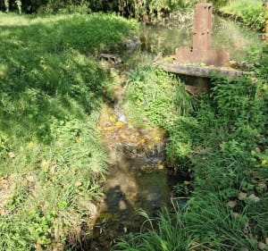 Entre Beaumont et le Grand Mayne - Beaumontois-en-Périgord - 5