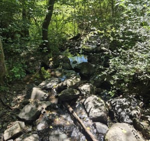 Sentier de la Croix de Millet - Pleaux - 4