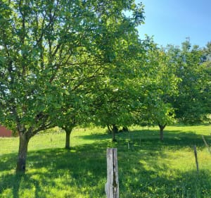 Randonnée autour de Ligueux - Sorges et Ligueux en Périgord - 4