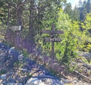 Pointe de Pécé au départ de Plampinet - Névache - 4