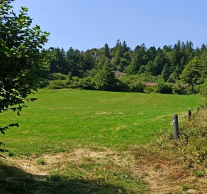Voyage au pays des Sucs - Yssingeaux - 3