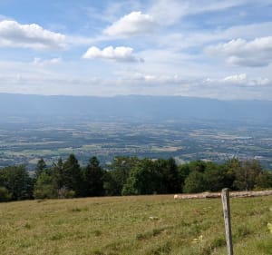 Montée au Grand piton - Beaumont - 4