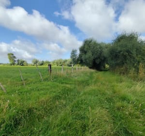 Étangs et marais du Fliers et de l'Authie - Damien - 3
