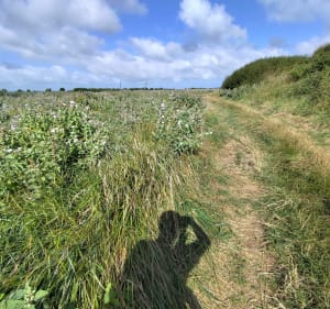 Étangs et marais du Fliers et de l'Authie - Damien - 4