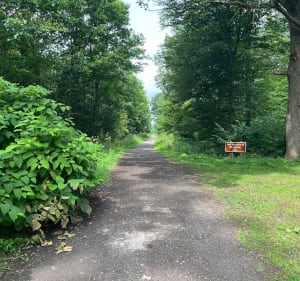 Découverte de la forêt de Marchiennes et de la Scarpe - Marchiennes - 3
