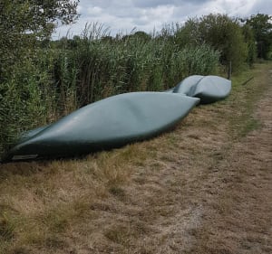 Marais et cigognes au Bois de Céné - Bois-de-Céné - 3