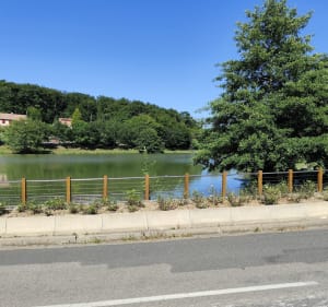Sauvigny-les-Bois et sa forêt Domaniale - Sauvigny-les-Bois - 3