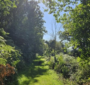 Boucle pédestre autour de Saint-Démet - Plozévet - 3