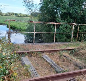 Marais de Donges - Donges - 3