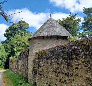 Marais de Donges - Donges - 4