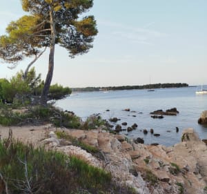 Boucle complète autour de l'île de Sainte Marguerite - Cannes - 3
