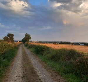 Domfront-en-Champagne et sa balade nature - Domfront-en-Champagne - 4