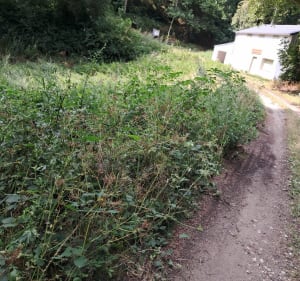Boucle de Gibus aux Martys - Les Martys - 3
