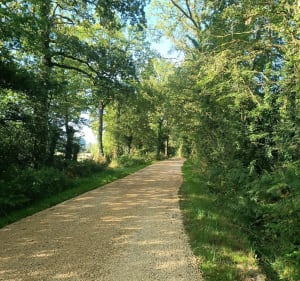 Circuit des haies du bocage depuis Neau - Neau - 3