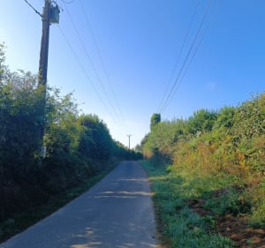 Circuit des haies du bocage depuis Neau - Neau - 5