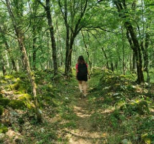 Causse toujours - Salviac - 3