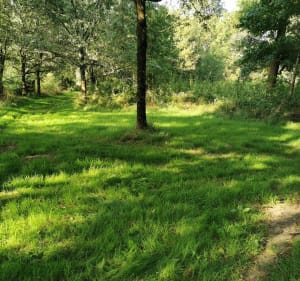 Balade entre deux rives Poiré sur Vie - Le Poiré-sur-Vie - 4