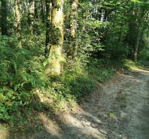 Balade entre deux rives Poiré sur Vie - Le Poiré-sur-Vie - 5