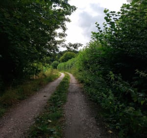 Boucle entre Pinchefalise -.Boismont - Bretel - Boismont - 3