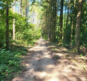 Haut de St Erme et Montaigu - LYDIE - 4