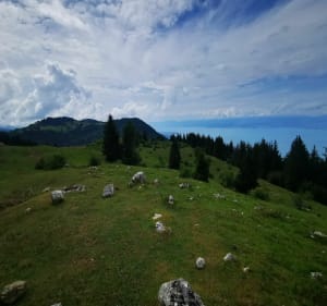 Balade au pied des Mémises - Bernex - 3