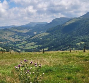 Circuit des sources de L'Auze au Col de Néronne - Saint-Paul-de-Salers - 3