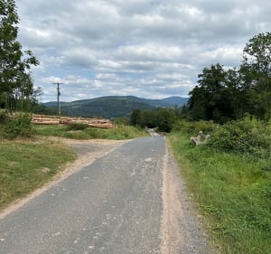 Route et paysage autour de Saint-Dié-des-Vosges - Saint-Dié-des-Vosges - 3