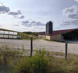 Boucle de Filhols - Villemur-sur-Tarn - 5