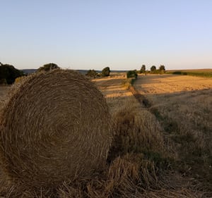 Boucle de Hermin, par Caucourt et Gauchin le Gal - Hermin - 4