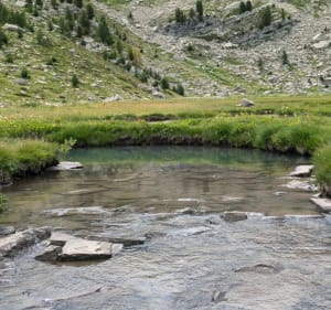 Les eaux tortes du Vallon de Laverq - Méolans-Revel - 3