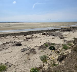 Ile et plage du bout du monde - Bricqueville-sur-Mer - 4