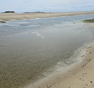 Ile et plage du bout du monde - Bricqueville-sur-Mer - 5