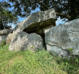 À la découverte de l'allée couverte autour du Bosquet - Les Moitiers-d'Allonne - 4