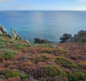 Boucle autour de Telgruc-sur-Mer - Telgruc-sur-Mer - 3