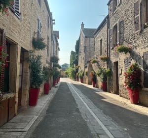 Morey et La Combe Lavaux - Morey-Saint-Denis - 3