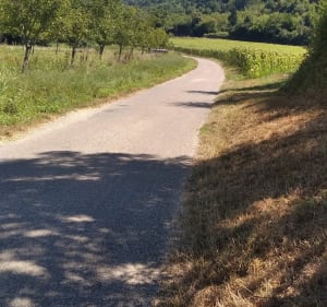Grande balade depuis Trept - Trept - 3