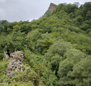 Irubelakaskoa - Bidarray - 5