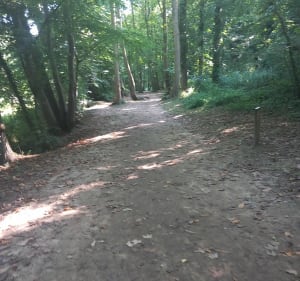 Randonner du diacre - Wimille - 5