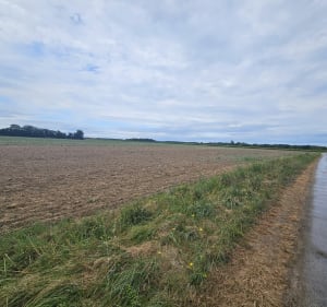 Boucle depuis la Gibertière - Saint-Georges-d'Oléron - 4