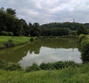 Balade entre Saint-Louis et la vallée des éclusiers - Saint-Louis - 4