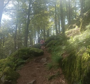 Boucle entre la ferme de Firstmiss et le lac de Haltenweiher - La Bresse - 4