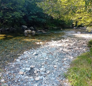 Ustou - rives de l'Alet - Ustou - 3