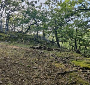 Sur les hauteurs de Russ, par Marbrière - Russ - 3