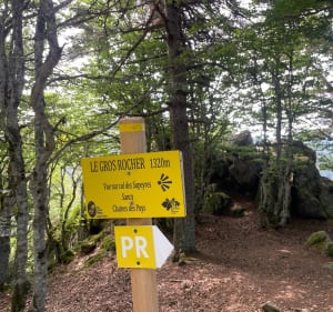 Montée à l’estive, - Valcivières - 4