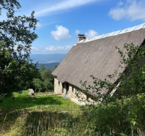 Montée à l’estive, - Valcivières - 5