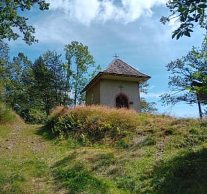 Patrimoine et Nature à Clefcy - Ban-sur-Meurthe-Clefcy - 4