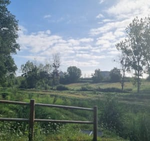 Circuit des Trois Vallons - Vern-sur-Seiche - 5