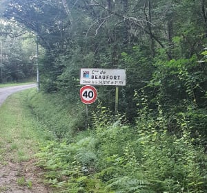 Forêt communale de Sainte Foy de Peyrolières, grande boucle - Sainte-Foy-de-Peyrolières - 4