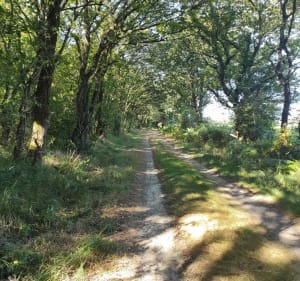 La Talmonaise Hilerienne - Talmont-Saint-Hilaire - 5