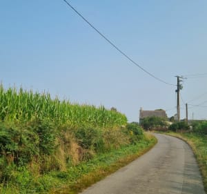 Boucle depuis Vern Sur Seiche - Vern-sur-Seiche - 4